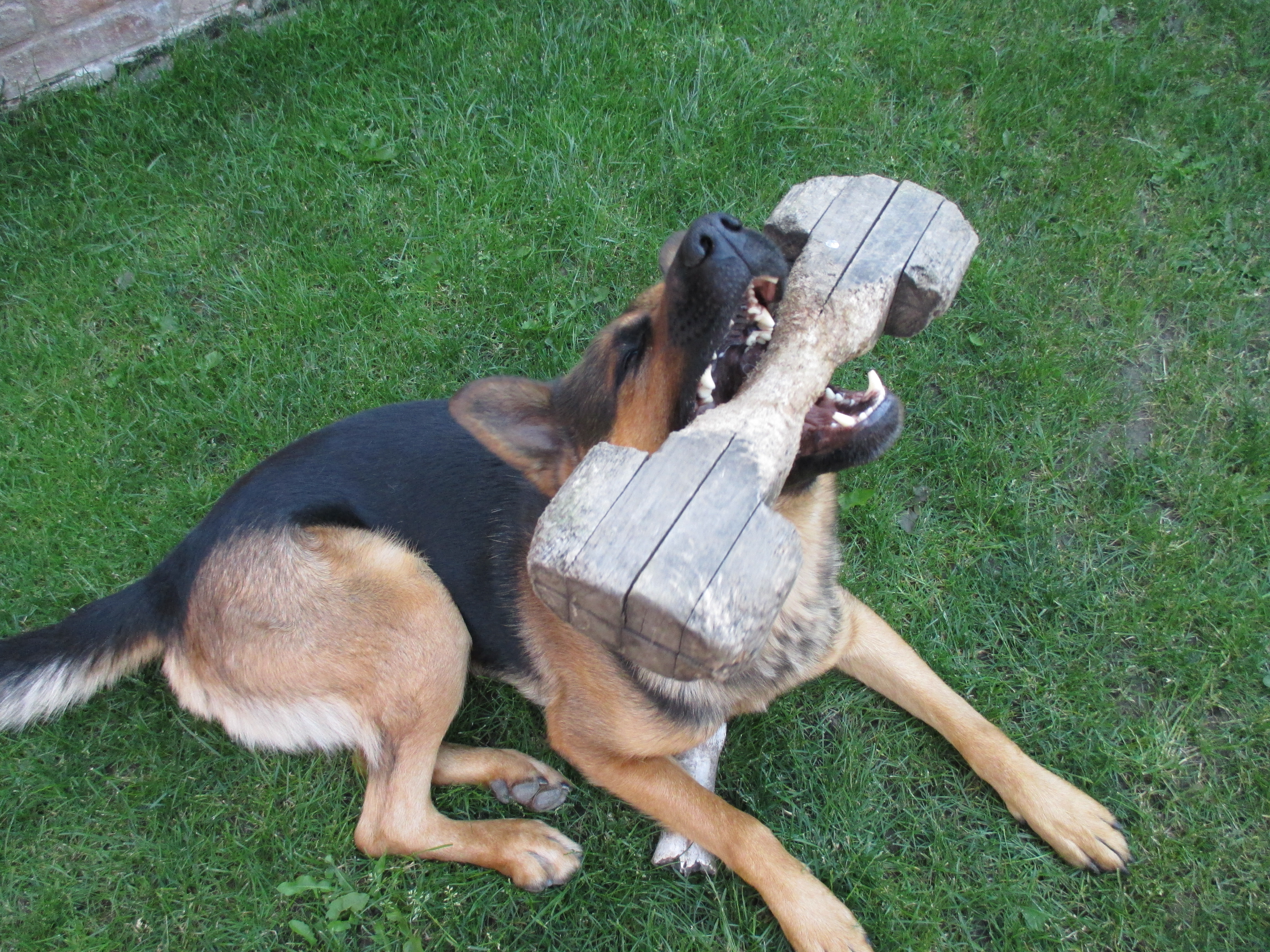 chce si se mnou hrt?