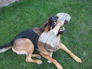 chce si se mnou hrt?