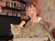 n kocour je flegmatik