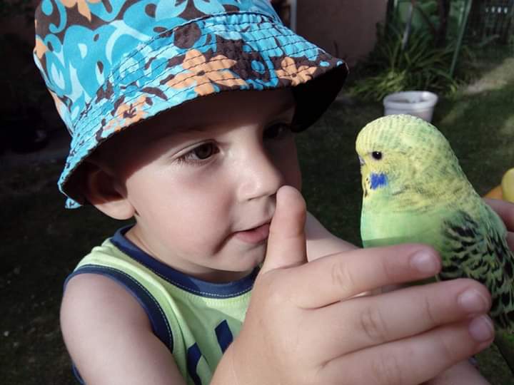 Matysek a papousek Kokos