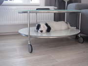 Doufm, e tady m nikdo ruit nebude...